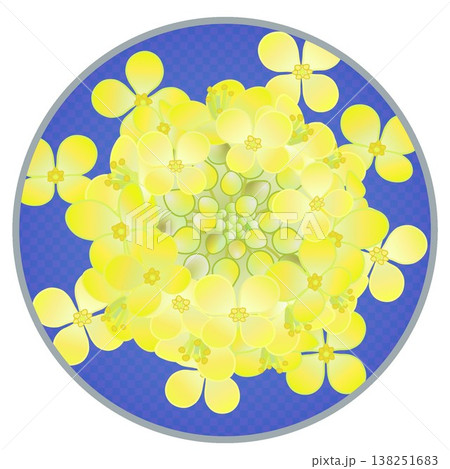 円形背景のついた菜の花イラスト 円形背景のついた菜の花イラスト 138251683