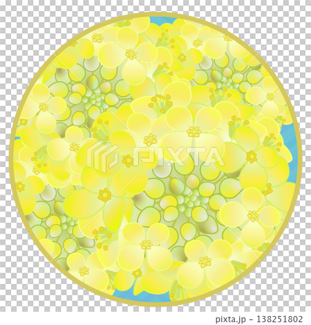 円形背景のついた菜の花イラスト 円形背景のついた菜の花イラスト 138251802
