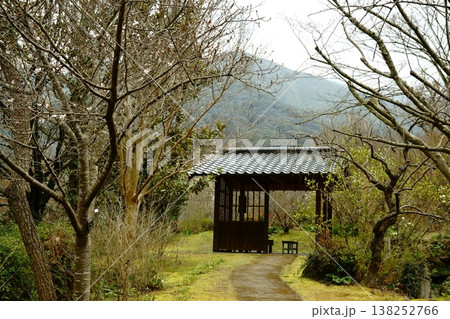 桜と東屋と福智山 桜と東屋と福智山 138252766