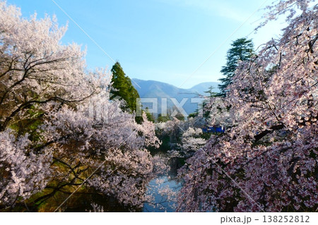 上田城跡公園の桜 上田城跡公園の桜 138252812