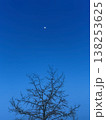縦構図の青空に浮かぶ月とモミジバフウ 138253625