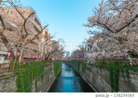 桜が咲いた目黒川の風景 138254365