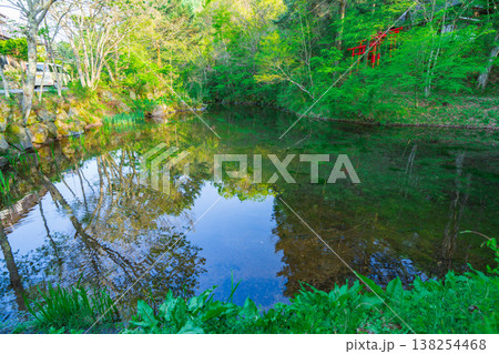 忍野八海の美しい風景 忍野八海の美しい風景 138254468