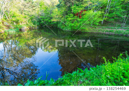 忍野八海の美しい風景 138254469