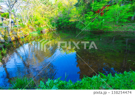 忍野八海の美しい風景 138254474