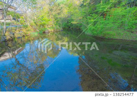 忍野八海の美しい風景 138254477
