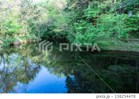 忍野八海の美しい風景 138254478
