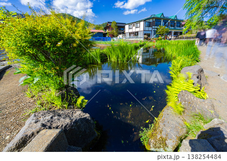 忍野八海の美しい風景 138254484