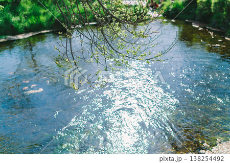 忍野八海の美しい風景 138254492