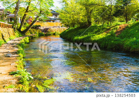 忍野八海の美しい風景 138254503