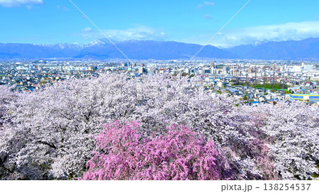 弘法山古墳の満開の桜と北アルプスと松本の街並み 弘法山古墳の満開の桜と北アルプスと松本の街並み 138254537