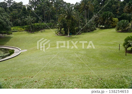 Lush Green Lawn with Palm Trees in a Tropical Landscape Lush Green Lawn with Palm Trees in a Tropical Landscape 138254653