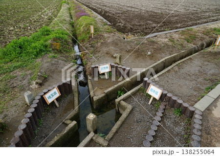 埼玉県加須市と群馬県板倉町と栃木県栃木市の三県境の風景 埼玉県加須市と群馬県板倉町と栃木県栃木市の三県境の風景 138255064