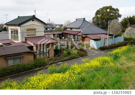 埼玉県加須市と群馬県板倉町と栃木県栃木市の三県境周辺の風景 埼玉県加須市と群馬県板倉町と栃木県栃木市の三県境周辺の風景 138255065