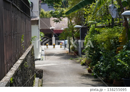 Picturesque Alleyway with Lush Greenery in Sunlight 138255095