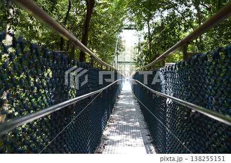 Suspension Bridge Walkway Amidst Lush Green Trees Suspension Bridge Walkway Amidst Lush Green Trees 138255151