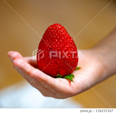 A little girl holding ripe strawberry in hands. Harvest of fresh strawberry A little girl holding ripe strawberry in hands. Harvest of fresh strawberry 138255387