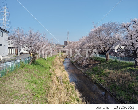 桜が咲く川沿いにある風景 桜が咲く川沿いにある風景 138256653