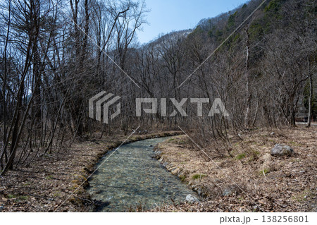 森の中を流れる小川　長野県 138256801