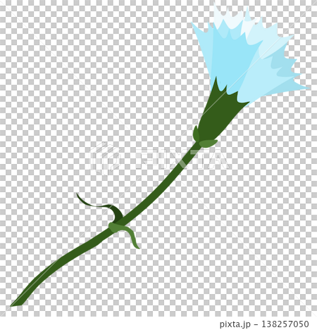 A simple illustration of a light blue carnation. A simple illustration of a light blue carnation. 138257050