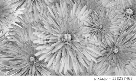 Seamless floral background. Flower dandelion and petals peonies. Close up. Seamless floral background. Flower dandelion and petals peonies. Close up. 138257465