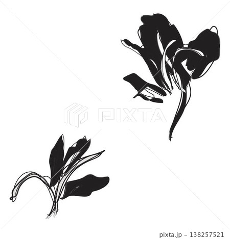Floral Fashion Textile Pattern Black Ink Brushstroke Flowers Design For Fabric Apparel And Decor Minimalist Style On White Background Floral Fashion Textile Pattern Black Ink Brushstroke Flowers Design For Fabric Apparel And Decor Minimalist Style On White Background 138257521