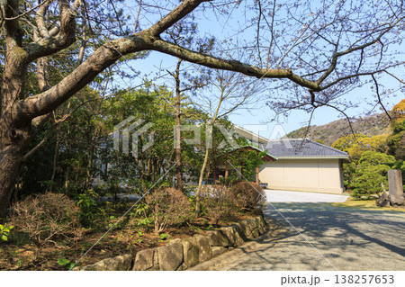 葉山しおさい公園の春 138257653