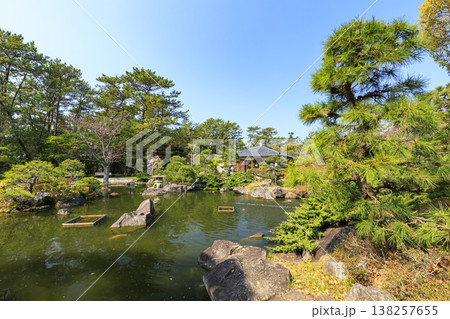 葉山しおさい公園の春 葉山しおさい公園の春 138257655