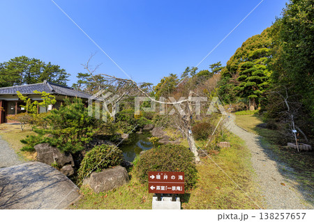 葉山しおさい公園の春 葉山しおさい公園の春 138257657