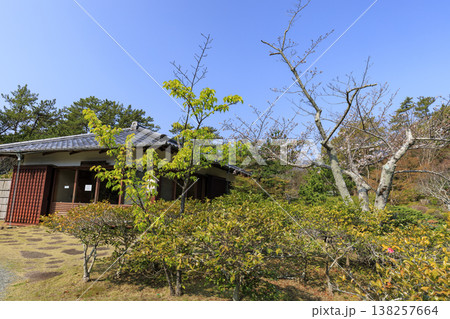 葉山しおさい公園の春 138257664