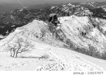 兵庫県最高峰の氷ノ山雪山登山 山頂から氷ノ山越への登山ルート 新聞、雑誌用 兵庫県最高峰の氷ノ山雪山登山 山頂から氷ノ山越への登山ルート 新聞、雑誌用 138257977