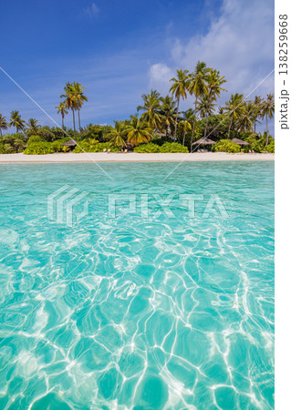 Sunny tropical beach, palm trees, turquoise ocean, sandy shore, relaxing summer vacation 138259668