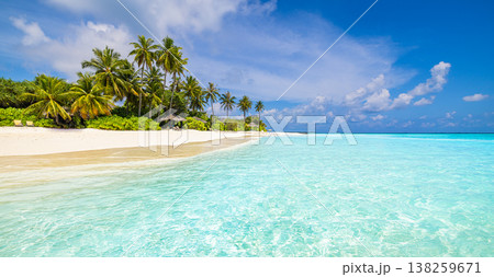 Idyllic tropical beach, canopy beds, umbrellas, swaying palms, turquoise sea, vibrant summer vacation 138259671