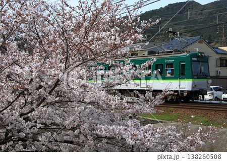 京阪石山坂本線と桜その1 138260508