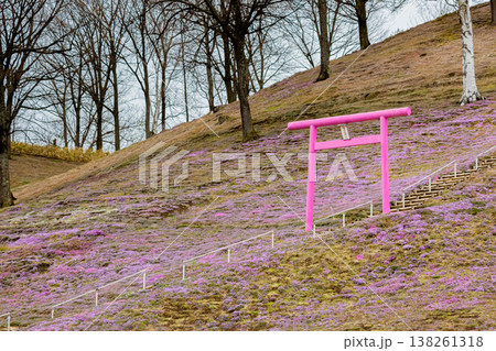 ひがしもこと芝桜公園 ひがしもこと芝桜公園 138261318
