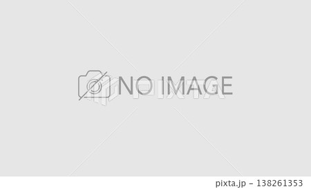 カメラアイコンイラスト入り NO IMAGE 写真ダミー用素材 16:9サイズ 138261353