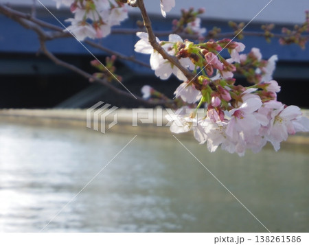 桜のある風景 桜のある風景 138261586