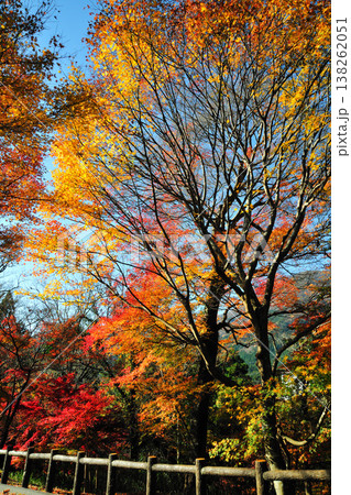 水沢の　もみじ谷 138262051