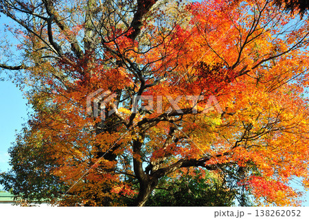 水沢の もみじ谷 水沢の もみじ谷 138262052