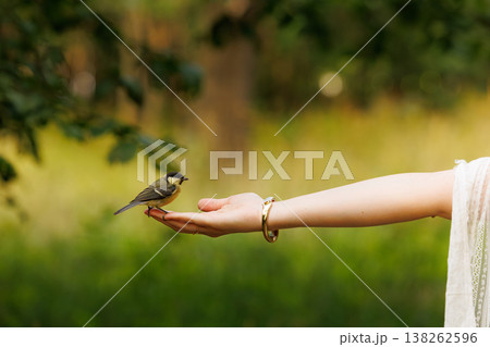 Bird perched gently on an outstretched hand in a serene forest during late afternoon light Bird perched gently on an outstretched hand in a serene forest during late afternoon light 138262596