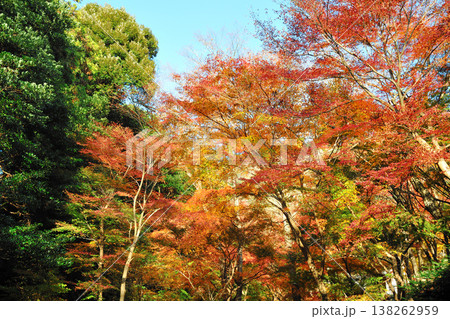 水沢の もみじ谷 水沢の もみじ谷 138262959