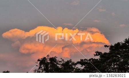 Beautiful orange sunset clouds illuminated by golden light above dark trees 138263021
