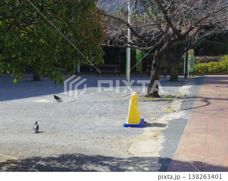 公園の鳩たち 138263401