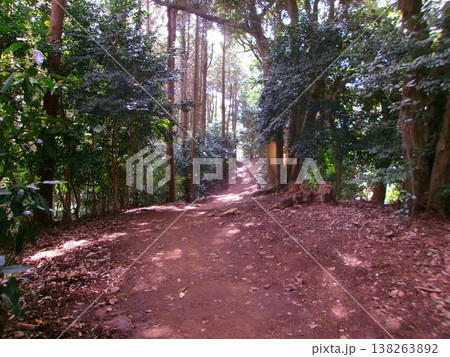 登山道 138263892