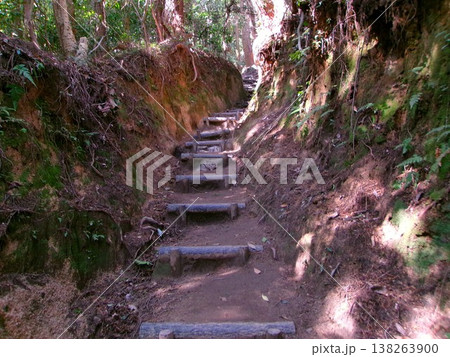 登山道 登山道 138263900