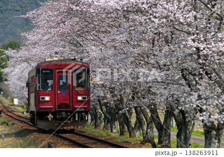 長良川鉄道_関下有知にて2 138263911