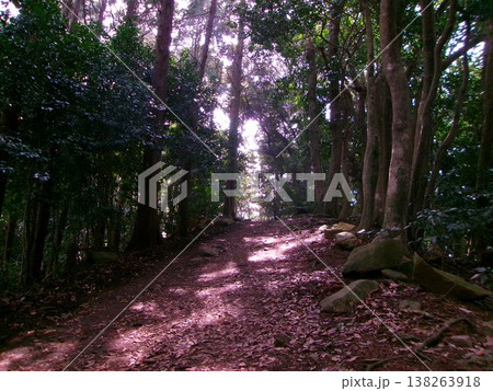 登山道 登山道 138263918