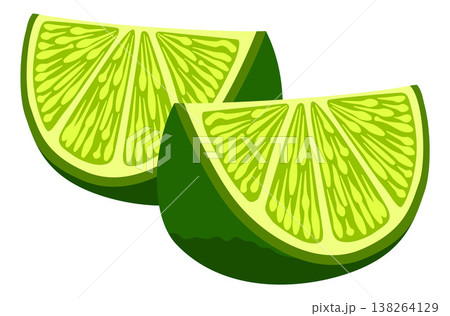 Lime Wedges Citrus Fruit Illustration 138264129