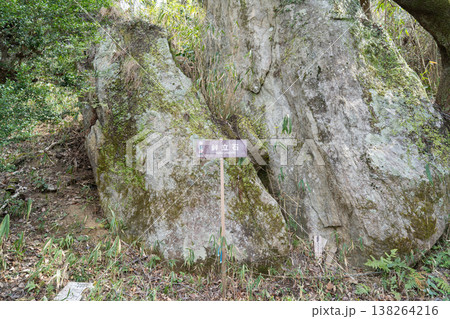 岩橋山の鉾立石（金剛生駒紀泉国定公園） 138264216