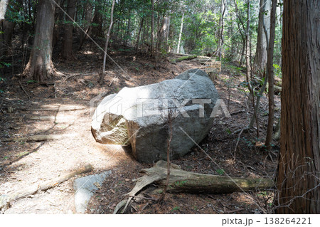 岩橋山の久米の岩橋（金剛生駒紀泉国定公園） 138264221